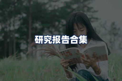 研究报告合集